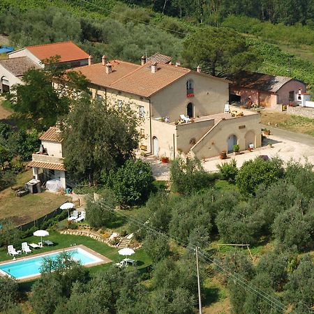 Agriturismo L'Olmo San Gimignano Ngoại thất bức ảnh