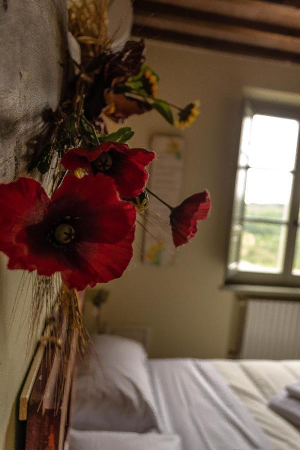 Agriturismo L'Olmo San Gimignano Ngoại thất bức ảnh