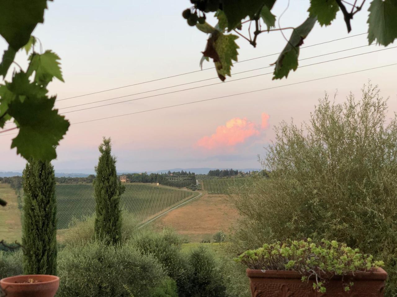Agriturismo L'Olmo San Gimignano Ngoại thất bức ảnh