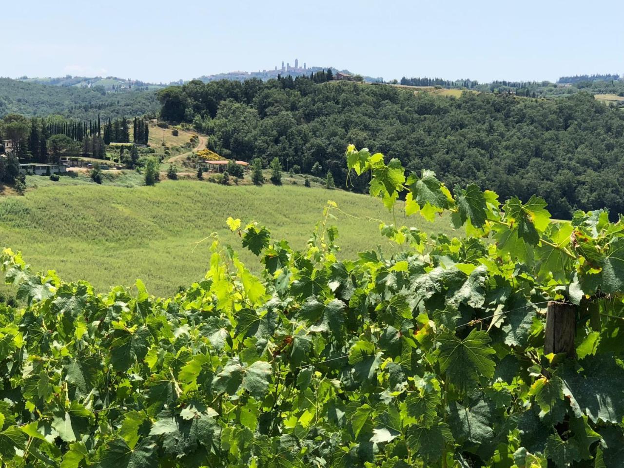 Agriturismo L'Olmo San Gimignano Ngoại thất bức ảnh