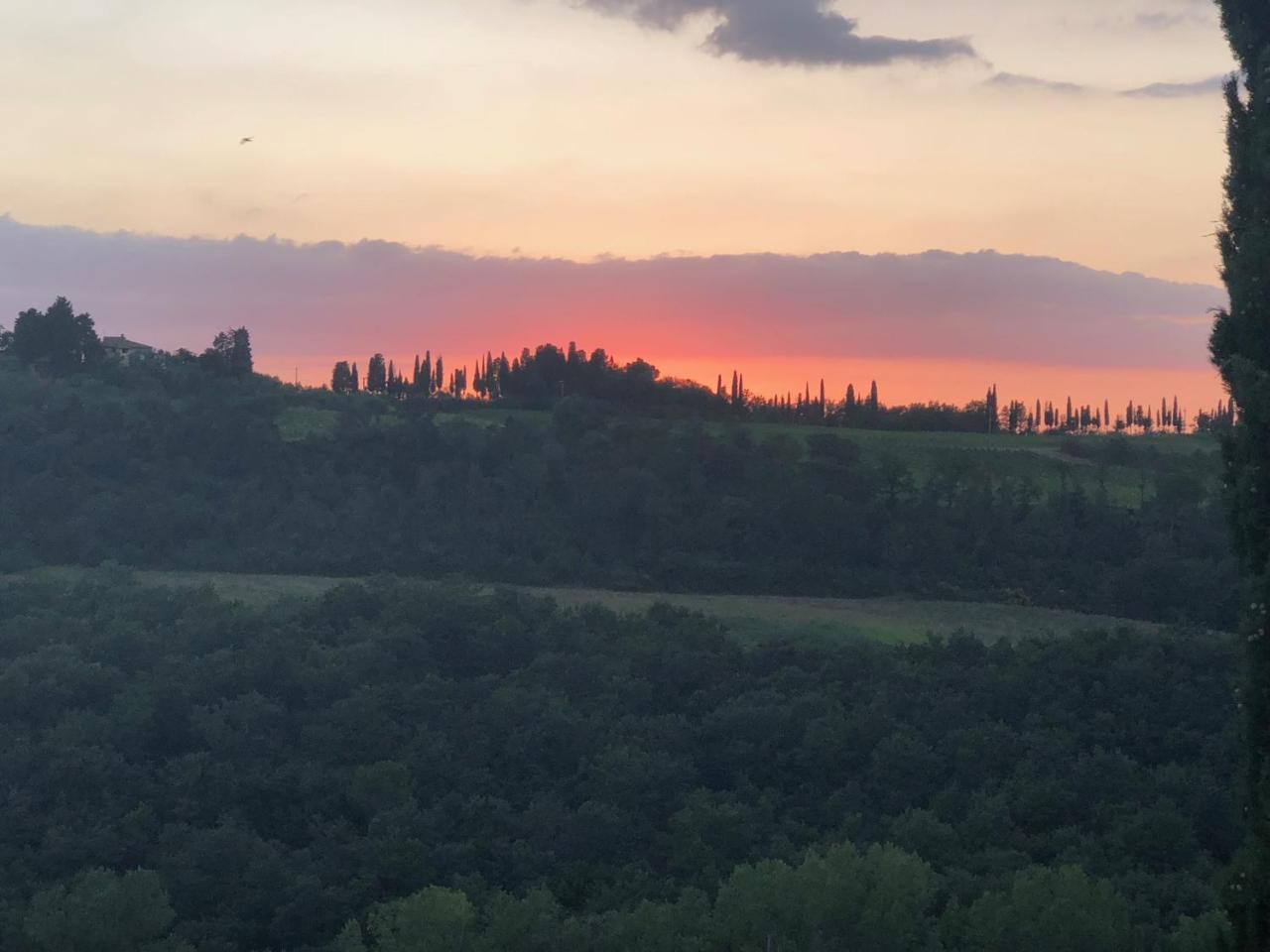 Agriturismo L'Olmo San Gimignano Ngoại thất bức ảnh