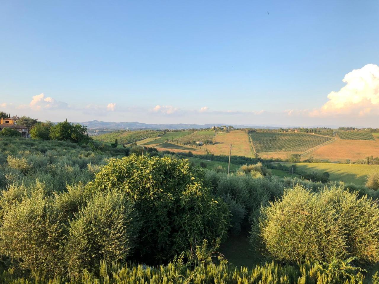 Agriturismo L'Olmo San Gimignano Ngoại thất bức ảnh
